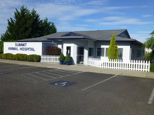 hospital-exterior front exterior view of Summit Animal Hospital