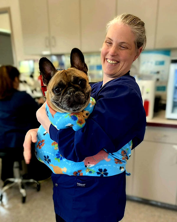 smiling-veterinary-team-member-holding-a-pug-at-the-clinic-600×750-1 smiling veterinary team member holding a pug a the vet hospital