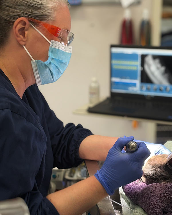 vet-performing-surgery-600×750-1 vet performing a procedure on a pet under anesthesia