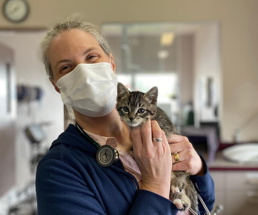 smiling veterinarian holding and petting a tiny kitten