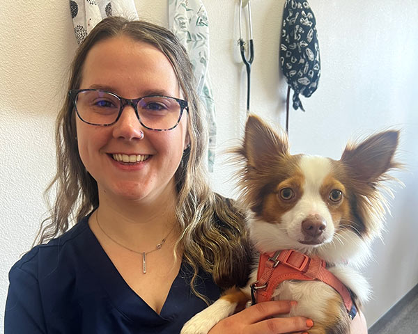smiling veterinary team member holding a small brown and white dog smiling veterinary team member holding a small brown and white dog