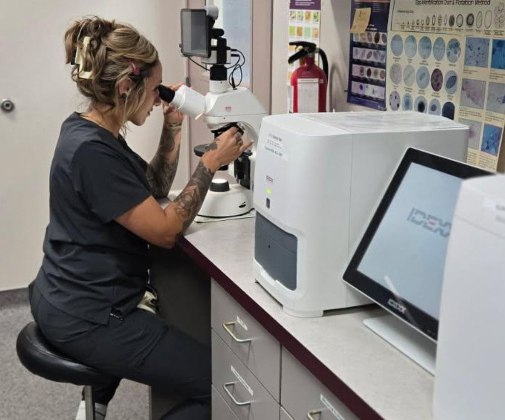 a vet sitting at a desk in front of a microscope
